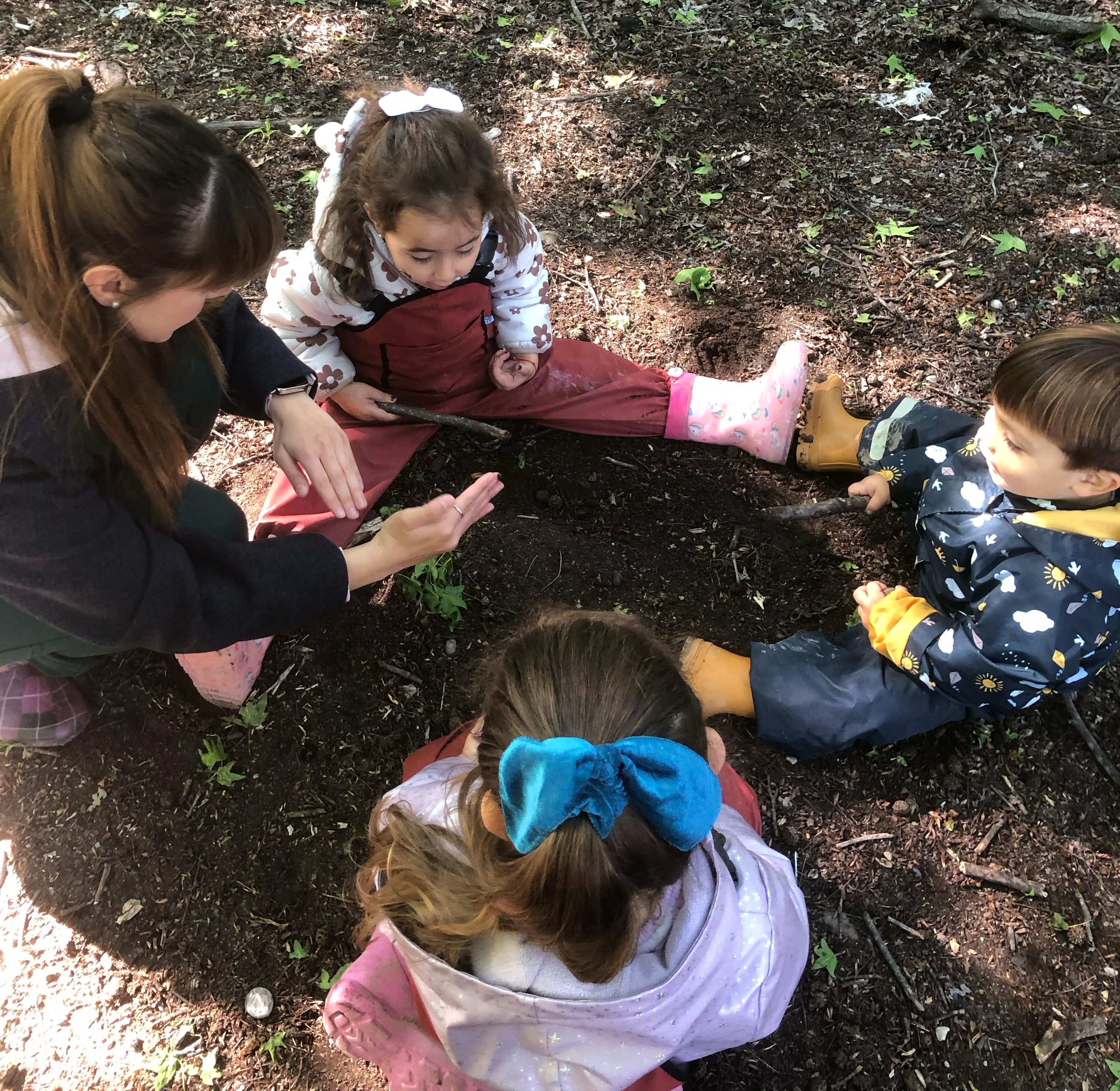 Günaydın Çemberi Nedir?