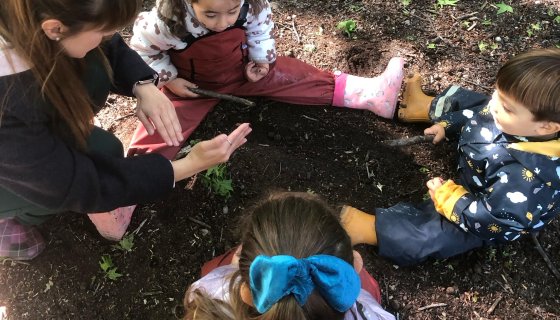 Günaydın Çemberi Nedir?